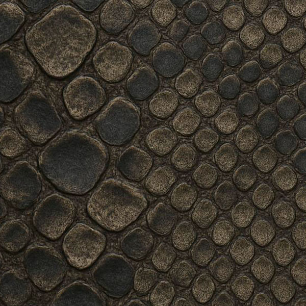 Vipera